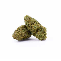 Commande fleurs de cbd suisse en gros Bubble Gum CBD 13%