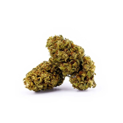 Commande fleurs de cbd suisse en gros Orange Bud CBG 14%