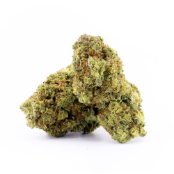 Commande fleurs de cbd suisse en gros Pineapple Skunk CBD 16%
