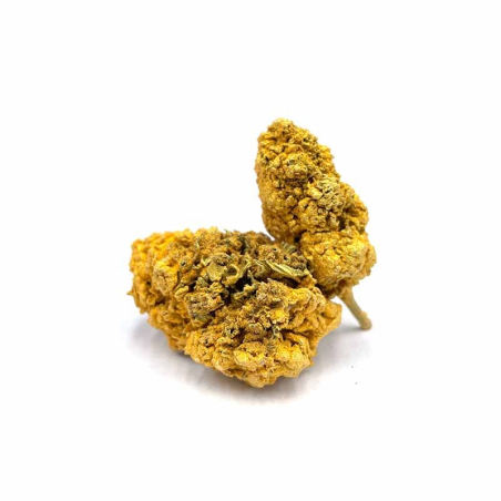 Commande fleurs de cbd suisse en gros 79 Golden Buds plaquée or comestible