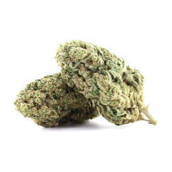 Achat Jack Frost fleur CBD 17%, THC moins de 0.2%