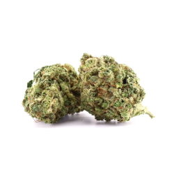 Achat Banana Sour fleur CBD 16%, THC moins de 0.2%