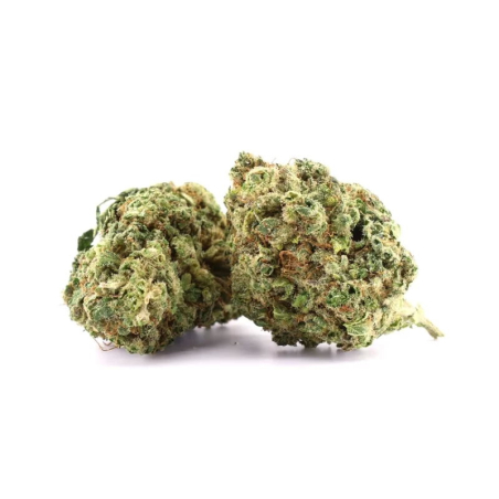 Banana Sour fleur CBD 16%, THC moins de 0.2%