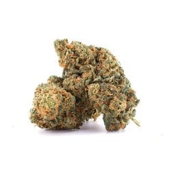 Achat Master Kush fleur CBD 14%, THC moins de 0.2%