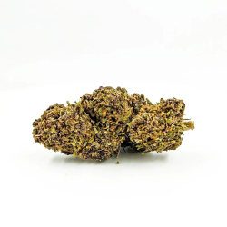 Grandaddy Purple fleur CBD 16%, THC moins de 0.2%