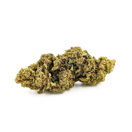 Achat Tropical Punch fleur CBD 12%, THC moins de 0.2%