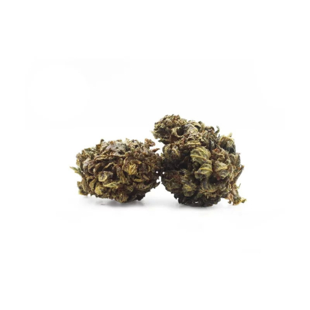 Purple fleur HHC 20%, THC moins de 0.2%