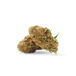 Cookies Kush fleur HHC 30%, THC moins de 0.2%