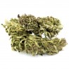 Delta 405 CBD en gros, cannabis ultra light, CBD ~ 15% | THC ~ 0.8%