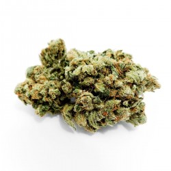 Buy Amnesia CBD Wholesale Europe, Cannabis ultra light THC -0.2%