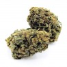 Achat Cheese CBD en gros, vente Cannabis ultra light en Europe avec moins de 0.2% de THC, fournisseur producteur Grossiste CBD
