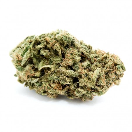 Buy Lemon Haze CBD Wholesale Europe, Cannabis ultra light THC -0.2%