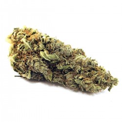 Buy Pineapple CBD Wholesale Europe, Cannabis ultra light THC -0.2%