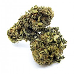 Buy Strawberry CBD Wholesale Europe, Cannabis ultra light THC -0.2%