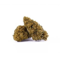 Achat en gros Fleurs de cannabis CBD, livraison Suisse Europe